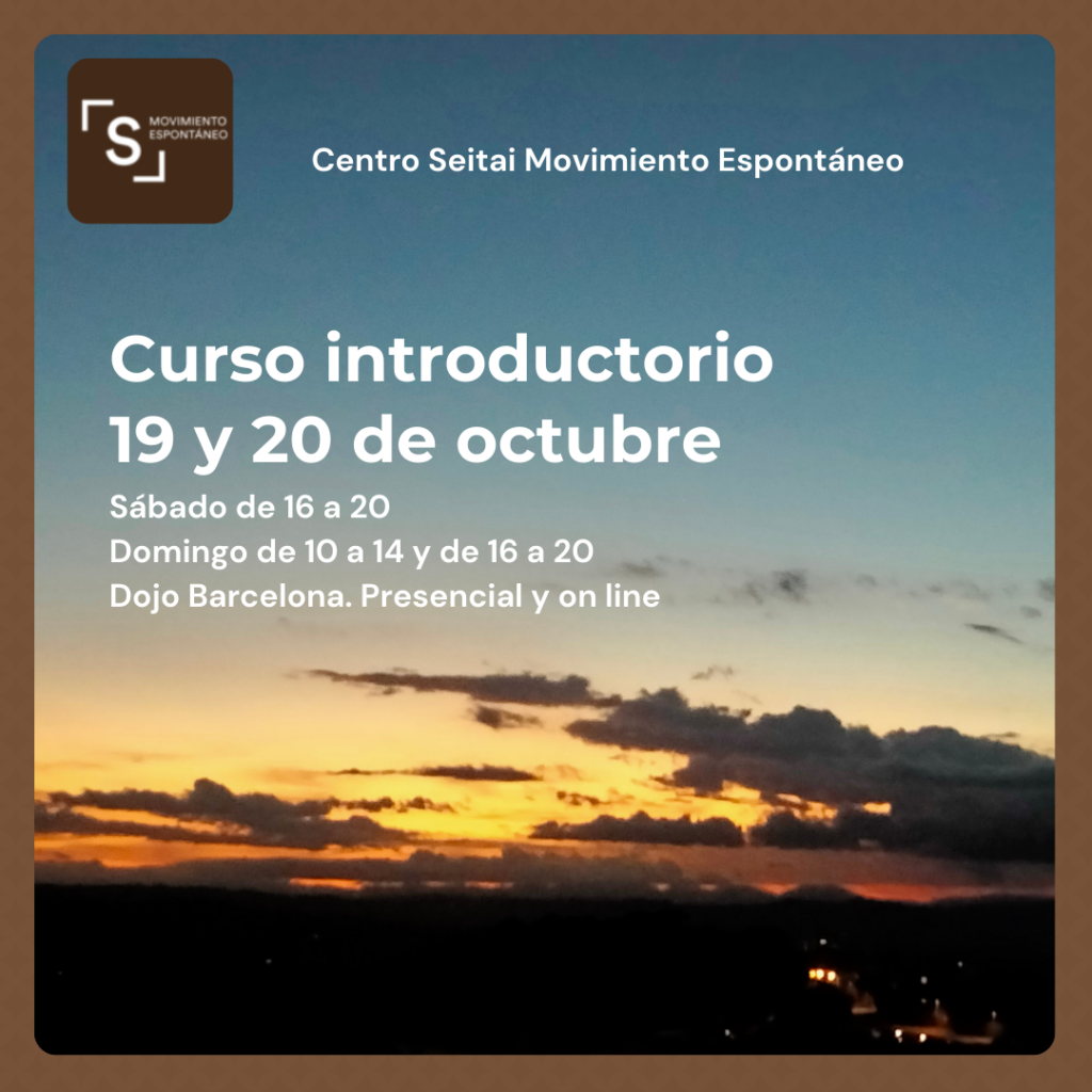 Curso introductorio de Seitai. Octubre 2024 en Centro Seitai Movimiento Espontáneo