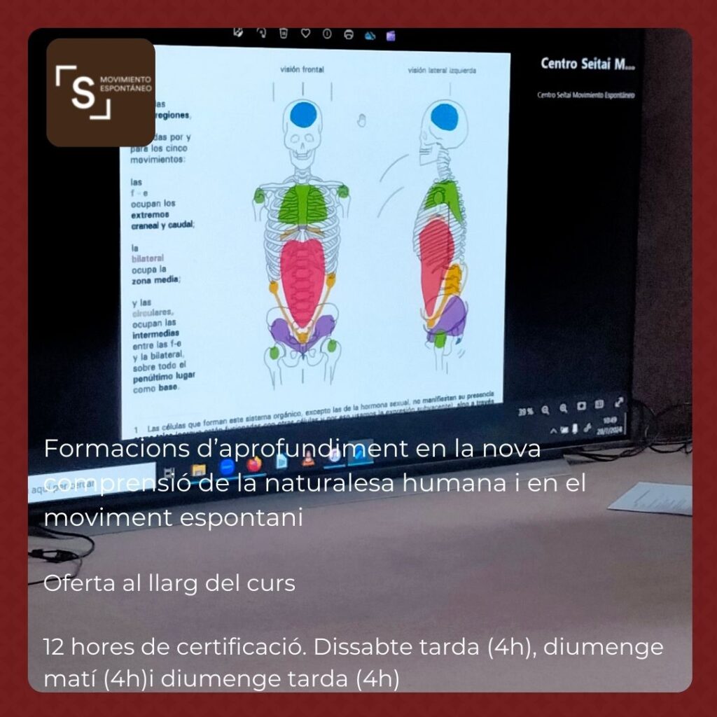 Cursos seitai de formació específica