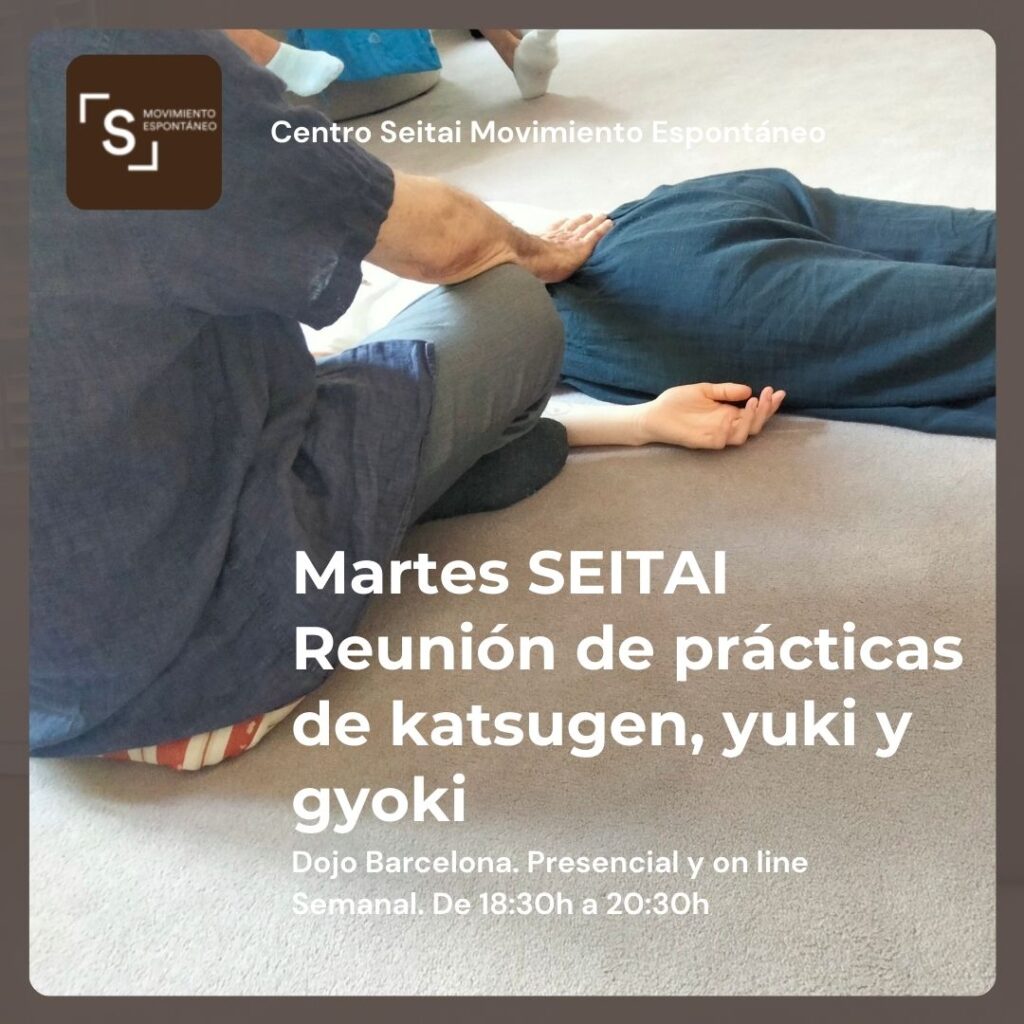 Sesiones de Seitai de Martes de 18:30 a 20:30 en Centro Seitai Movimiento Espontáneo