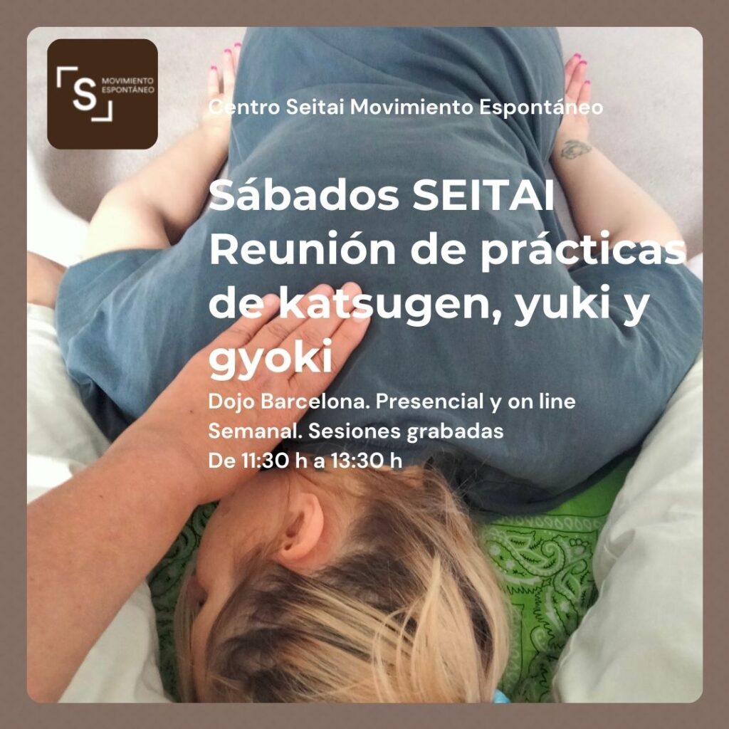 Sesiones de Seitai de Sábado de 11:30 a 13:30 en Centro Seitai Movimiento Espontáneo