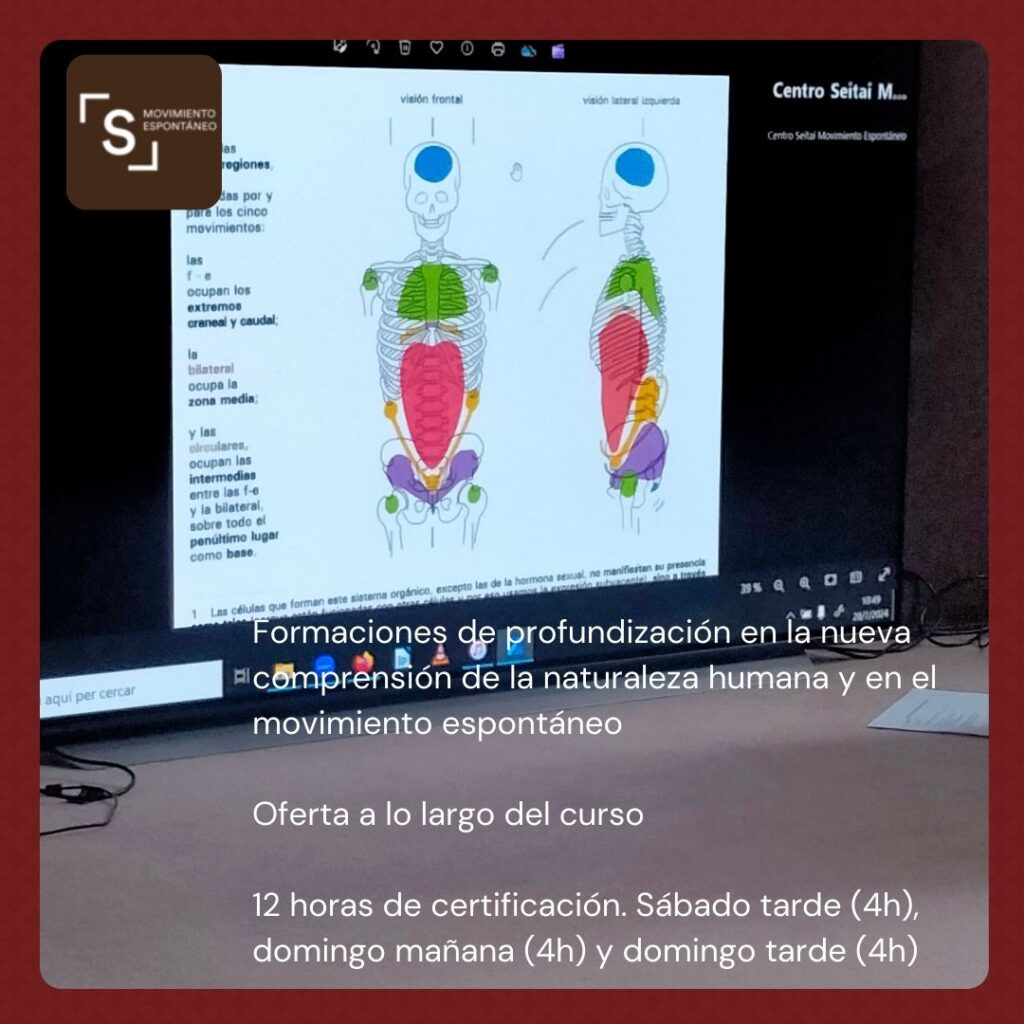 Curso de formación específica seitai 2024-2025