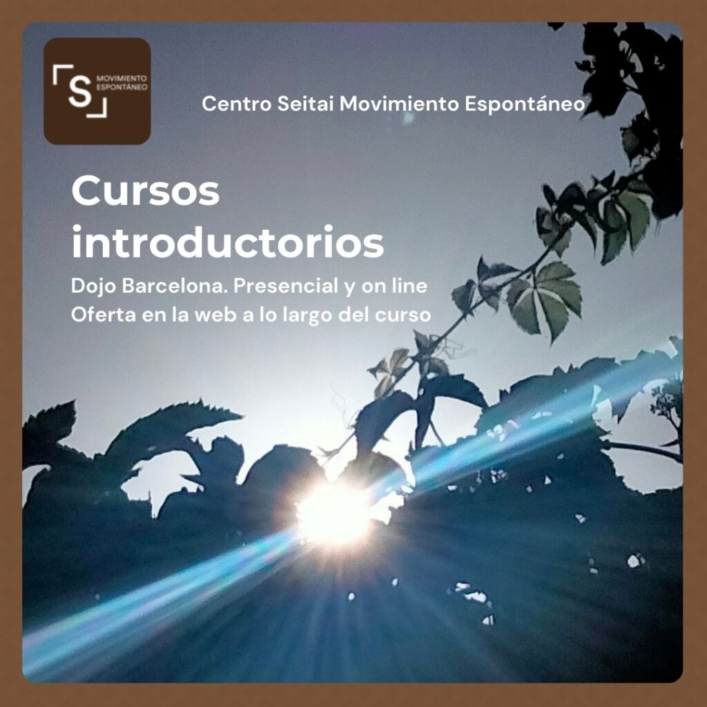 Cursos introductorios al Seitai de Centro Seitai Movimiento Espontáneo 2024-2025