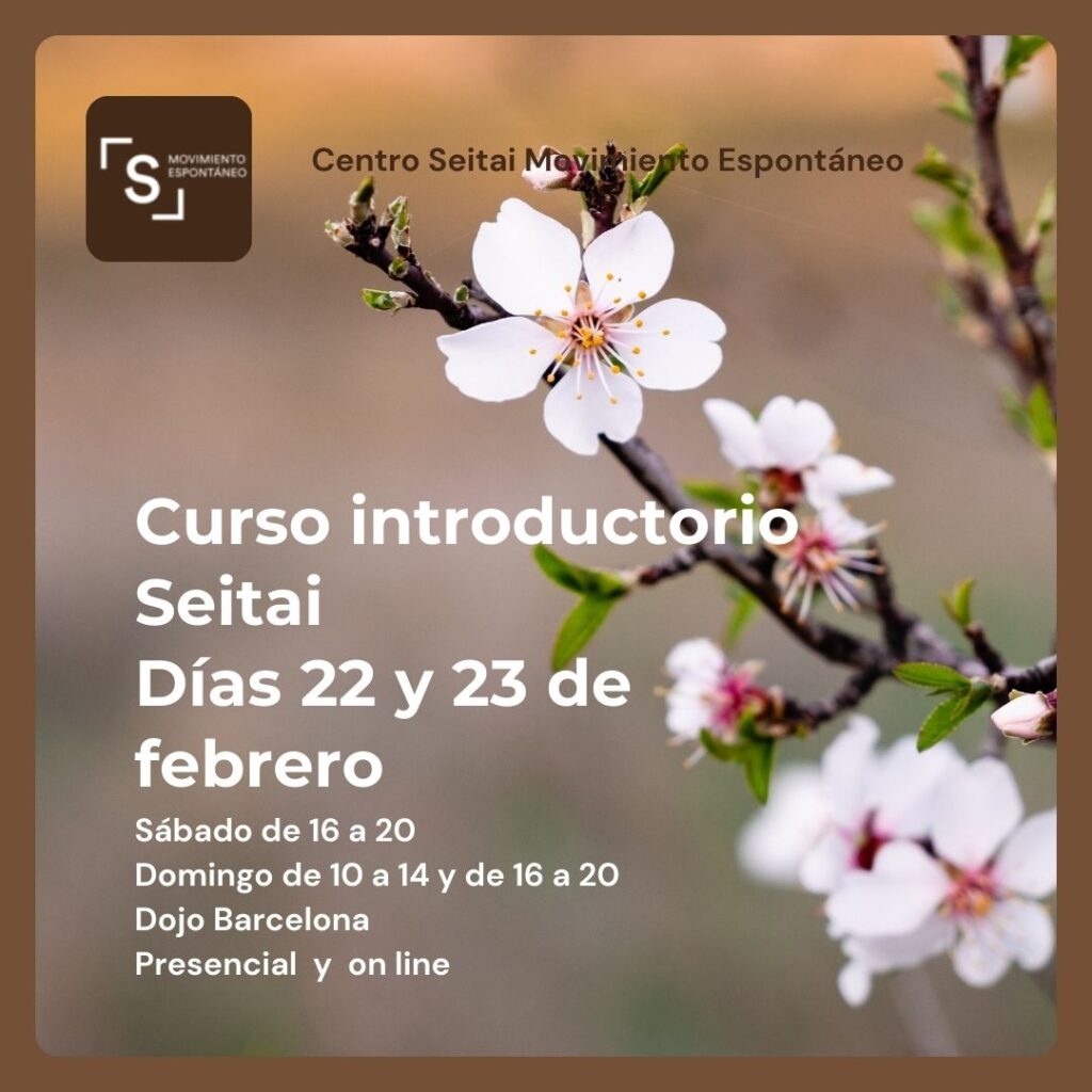 Curso introductorio al Seitai de febrero 2025 en Centro Seitai